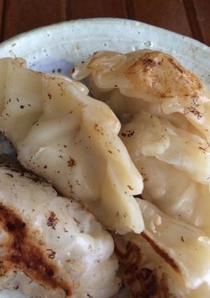 あっさり鶏ムネと乾物の餃子-レシピのメイン写真
