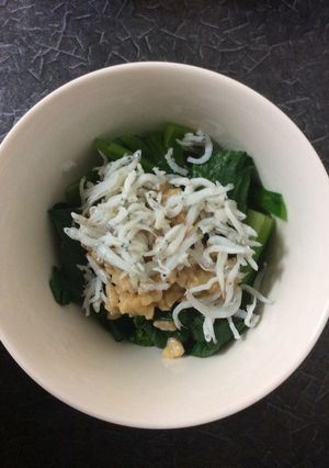 小松菜のしらす納豆かけ♪-レシピのメイン写真