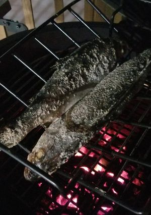 ビッググリーンエッグで焼き魚-レシピのメイン写真