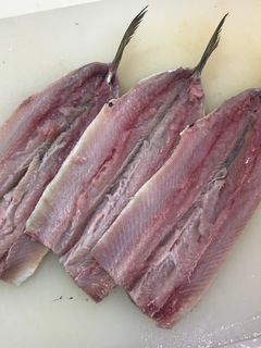 小骨がよく取れる!いわしの手開き-レシピのメイン写真