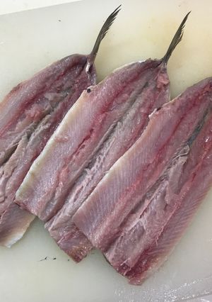 小骨がよく取れる！いわしの手開き-レシピのメイン写真