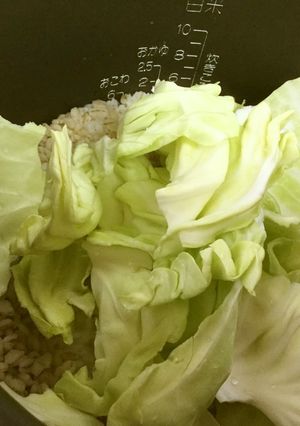 簡単♪節約省エネ☆炊飯器で蒸しキャベツ♫-レシピのメイン写真
