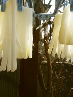 のれん干し大根-レシピのメイン写真