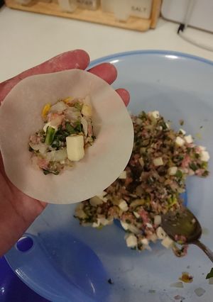 大葉(紫蘇)チーズ餃子-レシピのメイン写真
