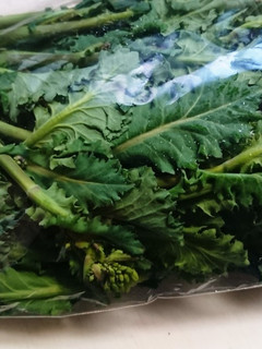 葉物野菜を簡単に袋から出す方法-レシピのメイン写真