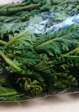 葉物野菜を簡単に袋から出す方法-レシピのメイン写真