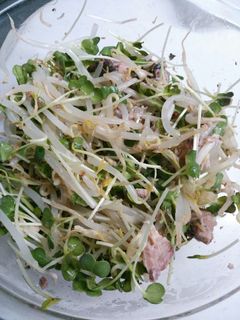 さば缶で簡単☆激安サラダ-レシピのメイン写真