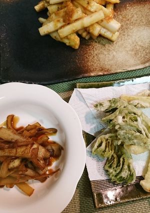 簡単調味料…山ウド皮きんぴら-レシピのメイン写真