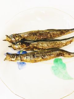 うちバル♡簡単綺麗!焼きししゃも^ ^-レシピのメイン写真