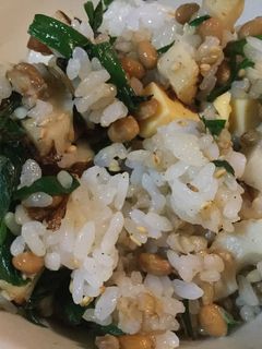 納豆ニラちくまぜご飯-レシピのメイン写真