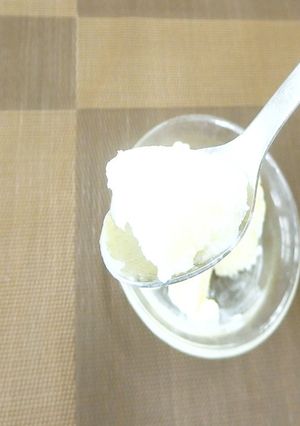 ブレンダ—プロでシャーベット作り-レシピのメイン写真