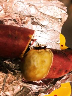 無水鍋で焼き芋♪-レシピのメイン写真