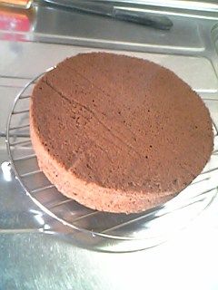 ふわふわ♪ココアスポンジ-レシピのメイン写真