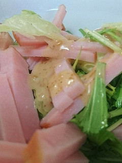 水菜とレタスのサラダ-レシピのメイン写真