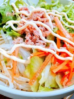 超手抜き!ズボラサラダうどん-レシピのメイン写真