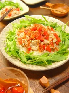 水菜と玉ねぎたっぷり~★豚しゃぶサラダ-レシピのメイン写真