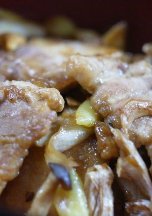 豚バラ肉とネギの甜麺醤炒め-レシピのメイン写真