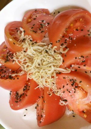 新たまねぎとトマトのごま塩サラダ-レシピのメイン写真