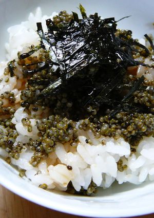 とんぶりご飯-レシピのメイン写真