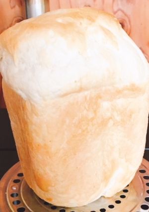 しっかり酒粕風味のふわもち食パン-レシピのメイン写真