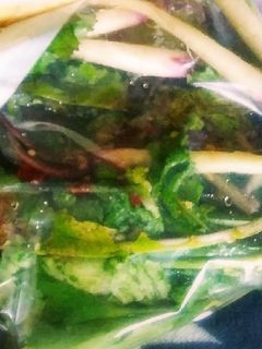 日野菜の1本漬け-レシピのメイン写真