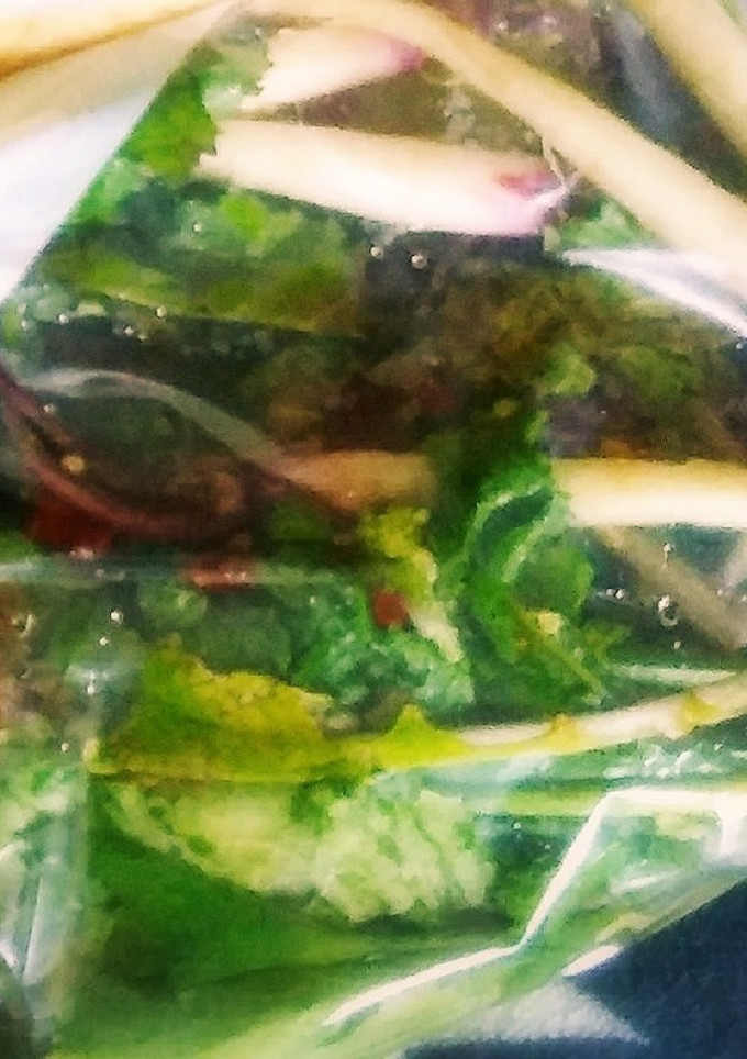 日野菜の1本漬け-レシピのメイン写真