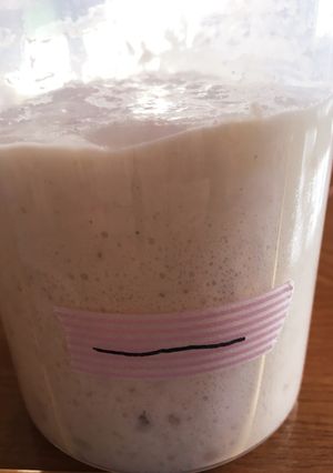 自家製酵母でパンの元種(中種)作り-レシピのメイン写真