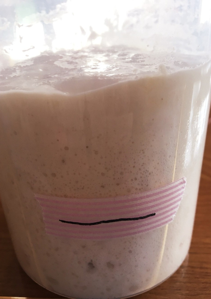 自家製酵母でパンの元種(中種)作り-レシピのメイン写真