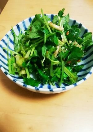 やみつきパクチー-レシピのメイン写真