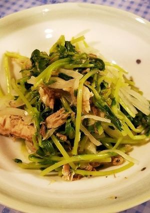 豆苗、サバ缶、酢タマネギのサラダ？-レシピのメイン写真