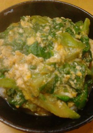 簡単昼食　レタスの外葉の卵とじ丼-レシピのメイン写真