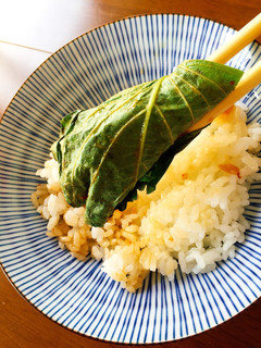 えごまの葉の醤油麹漬け-レシピのメイン写真