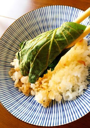えごまの葉の醤油麹漬け-レシピのメイン写真
