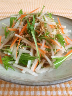 大根と人参と水菜のサラダ-レシピのメイン写真