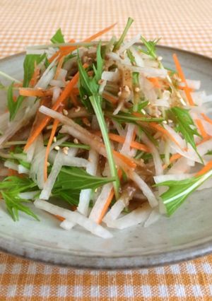 大根と人参と水菜のサラダ-レシピのメイン写真