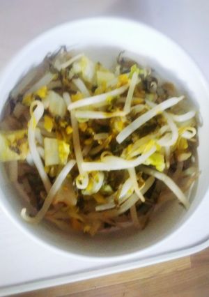 もやし高菜-レシピのメイン写真