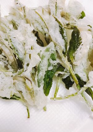 新茶の季節♩抹茶塩で食べる生茶葉の天ぷら-レシピのメイン写真