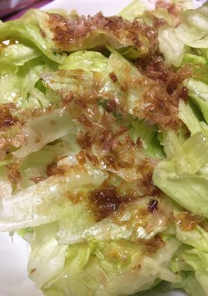レタスとおかか かけただけサラダ-レシピのメイン写真