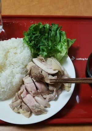 電子レンジでつくる海南鳥飯-レシピのメイン写真