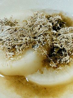 レンジで簡単 大根の昆布茶煮-レシピのメイン写真