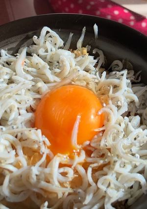 簡単 絶品 しらす丼-レシピのメイン写真