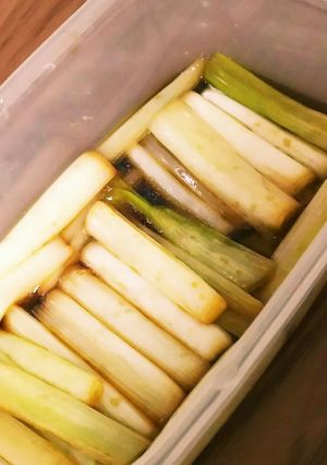 長ネギぽん酢、5日-レシピのメイン写真