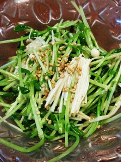 レンチン簡単♪豆苗とエノキの中華ナムル-レシピのメイン写真