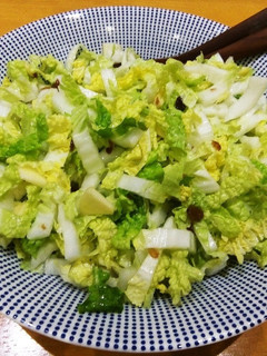 白菜のサラダ-レシピのメイン写真