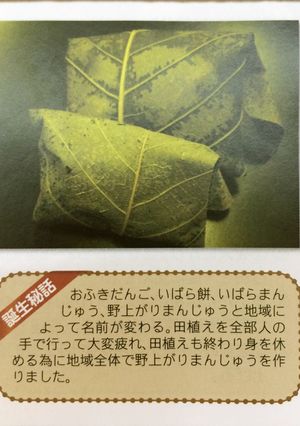 でんがら(田柄)(三重の郷土料理)-レシピのメイン写真