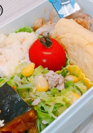 毎日 お弁当-レシピのメイン写真