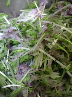 大根・水菜のゆかり和え-レシピのメイン写真