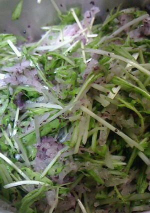 大根・水菜のゆかり和え-レシピのメイン写真