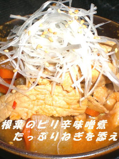 豚肉と根菜のピリ辛味噌煮たっぷりネギ添え-レシピのメイン写真