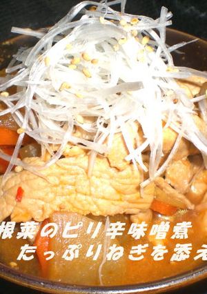 豚肉と根菜のピリ辛味噌煮たっぷりネギ添え-レシピのメイン写真